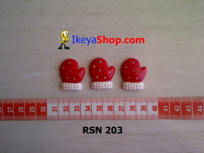 rsn 203  large2